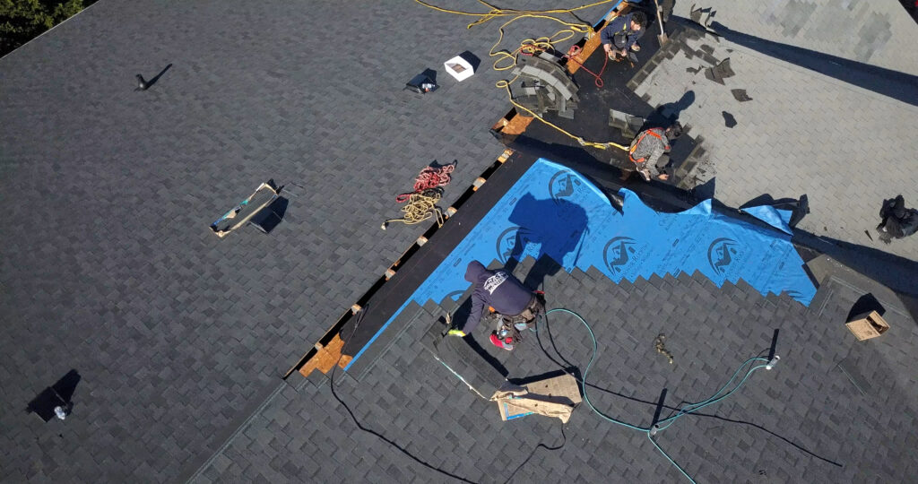 roof anatomy